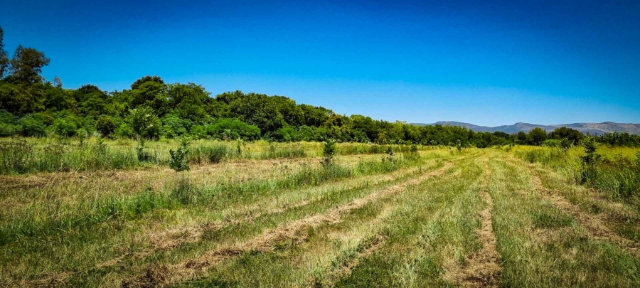 10 Bedroom Property for Sale in Skeerpoort North West